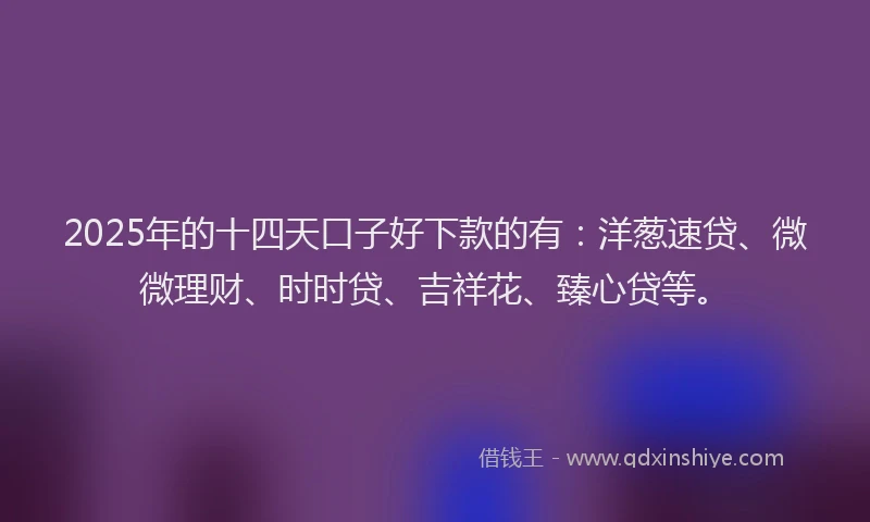 2025年的十四天口子好下款的有：洋葱速贷、微微理财、时时贷、吉祥花、臻心贷等。