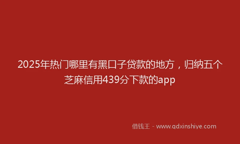 2025年热门哪里有黑口子贷款的地方，归纳五个芝麻信用439分下款的app