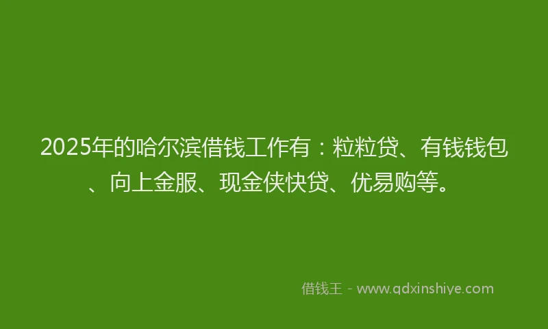 2025年的哈尔滨借钱工作有：粒粒贷、有钱钱包、向上金服、现金侠快贷、优易购等。