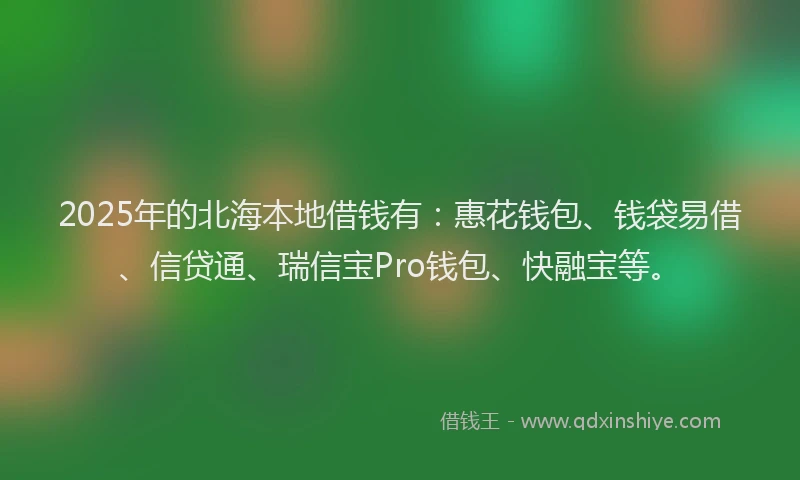 2025年的北海本地借钱有：惠花钱包、钱袋易借、信贷通、瑞信宝Pro钱包、快融宝等。
