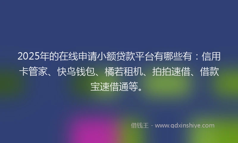 2025年的在线申请小额贷款平台有哪些有：信用卡管家、快鸟钱包、橘若租机、拍拍速借、借款宝速借通等。