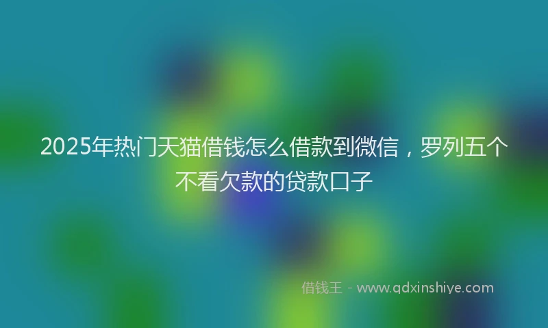 2025年热门天猫借钱怎么借款到微信，罗列五个不看欠款的贷款口子