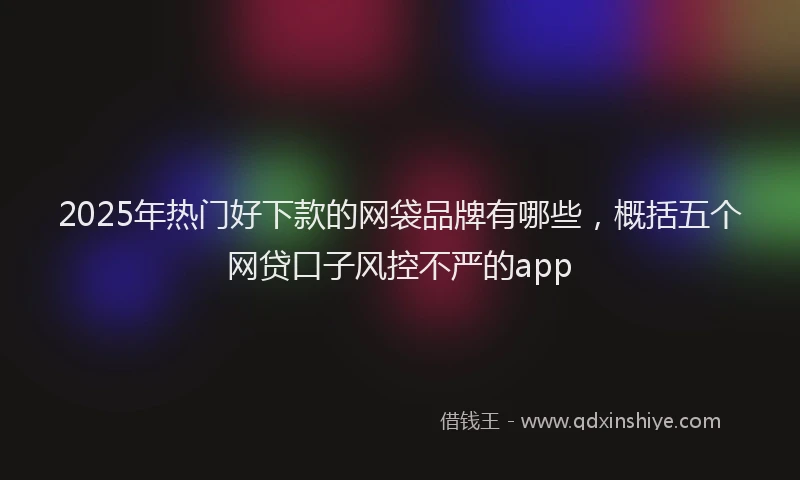 2025年热门好下款的网袋品牌有哪些，概括五个网贷口子风控不严的app