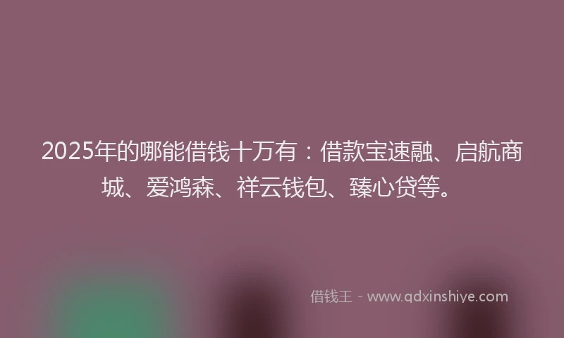 2025年的哪能借钱十万有：借款宝速融、启航商城、爱鸿森、祥云钱包、臻心贷等。