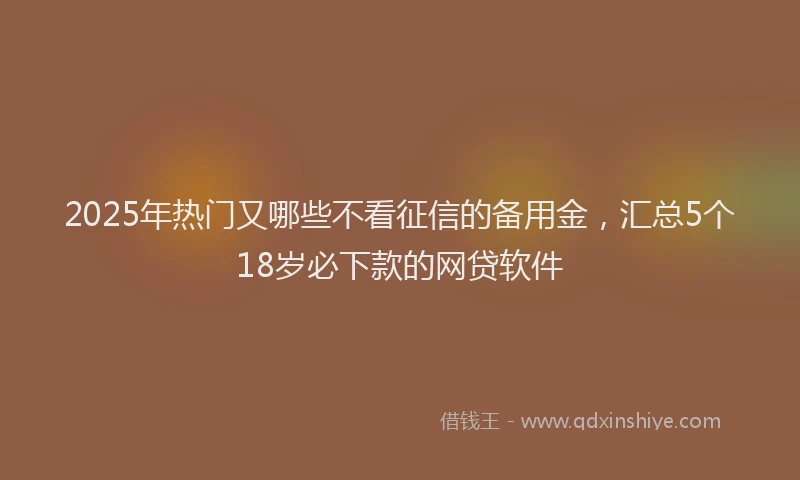 2025年热门又哪些不看征信的备用金，汇总5个18岁必下款的网贷软件