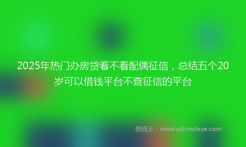 2025年热门办房贷看不看配偶征信，总结五个20岁可以借钱平台不查征信的平台