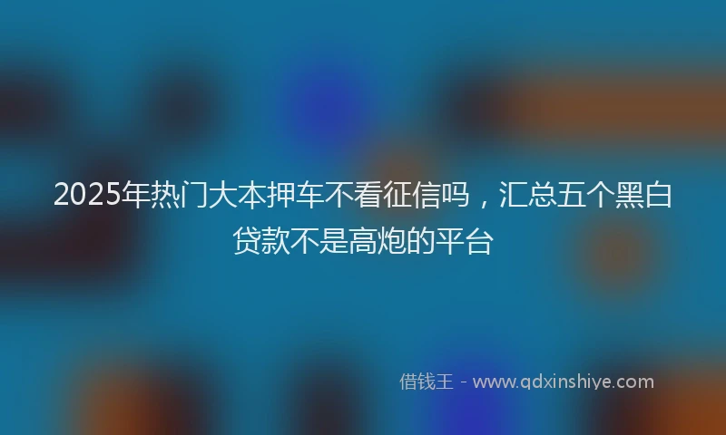 2025年热门大本押车不看征信吗，汇总五个黑白贷款不是高炮的平台