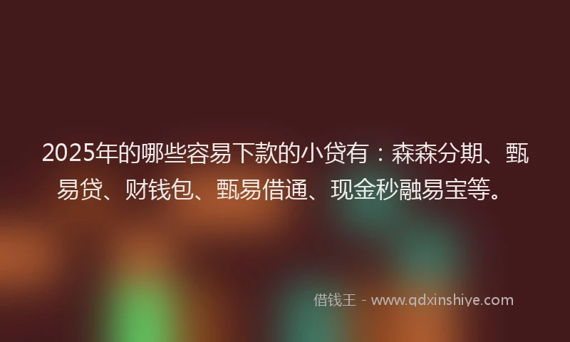 2025年的哪些容易下款的小贷有：森森分期、甄易贷、财钱包、甄易借通、现金秒融易宝等。