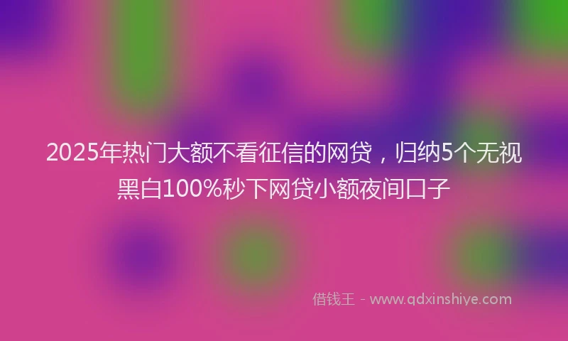 2025年热门大额不看征信的网贷，归纳5个无视黑白100%秒下网贷小额夜间口子