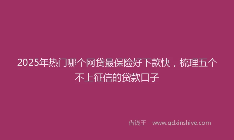 2025年热门哪个网贷最保险好下款快，梳理五个不上征信的贷款口子