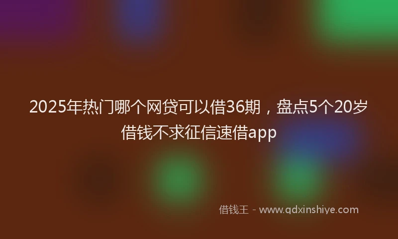 2025年热门哪个网贷可以借36期，盘点5个20岁借钱不求征信速借app