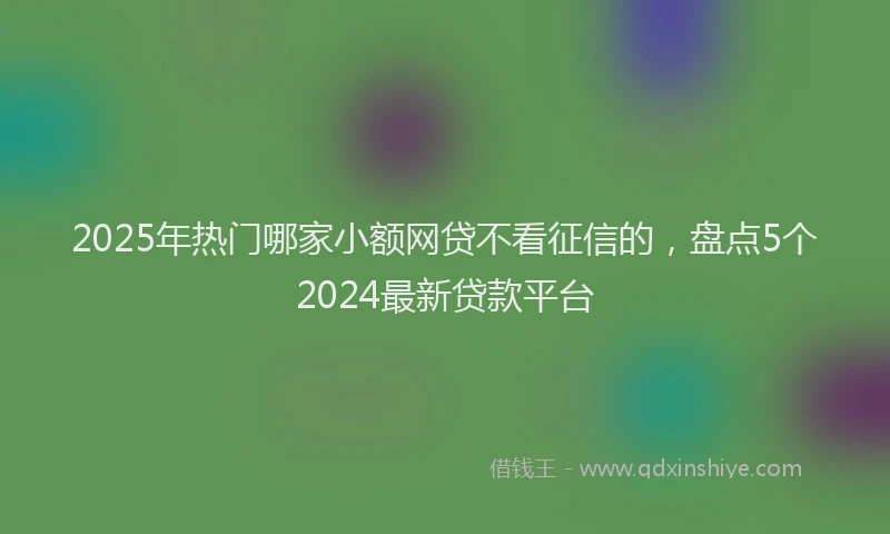 2025年热门哪家小额网贷不看征信的，盘点5个2024最新贷款平台