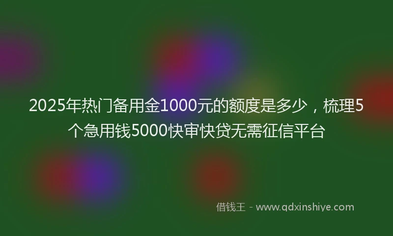 2025年热门备用金1000元的额度是多少，梳理5个急用钱5000快审快贷无需征信平台