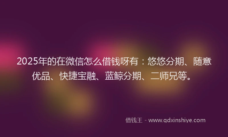 2025年的在微信怎么借钱呀有：悠悠分期、随意优品、快捷宝融、蓝鲸分期、二师兄等。