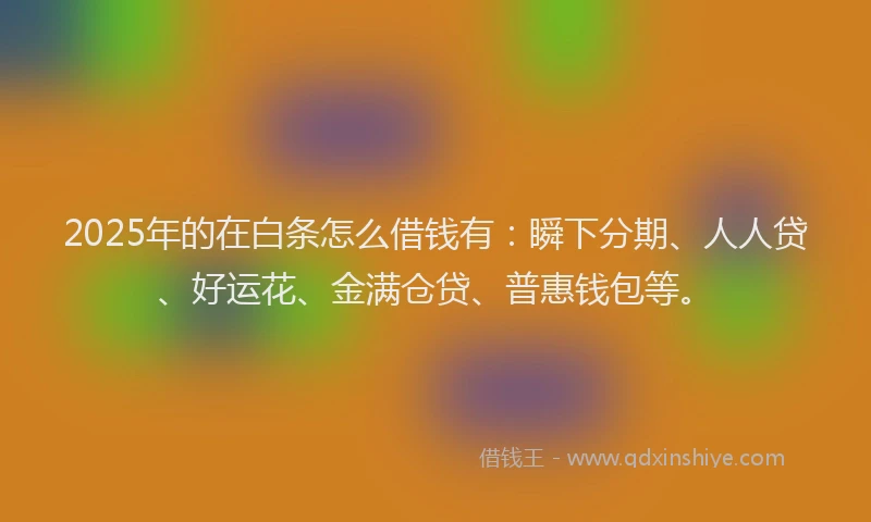 2025年的在白条怎么借钱有：瞬下分期、人人贷、好运花、金满仓贷、普惠钱包等。