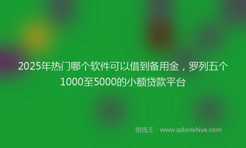 2025年热门哪个软件可以借到备用金，罗列五个1000至5000的小额贷款平台