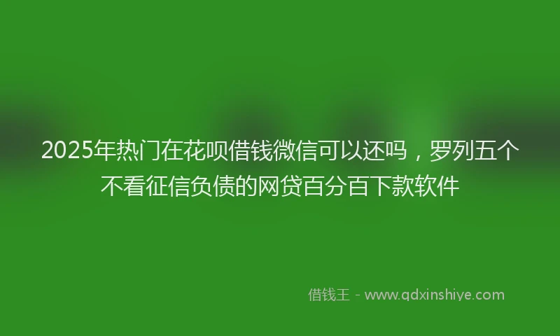 2025年热门在花呗借钱微信可以还吗，罗列五个不看征信负债的网贷百分百下款软件