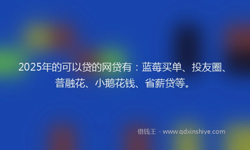 2025年的可以贷的网贷有：蓝莓买单、投友圈、普融花、小鹅花钱、省薪贷等。