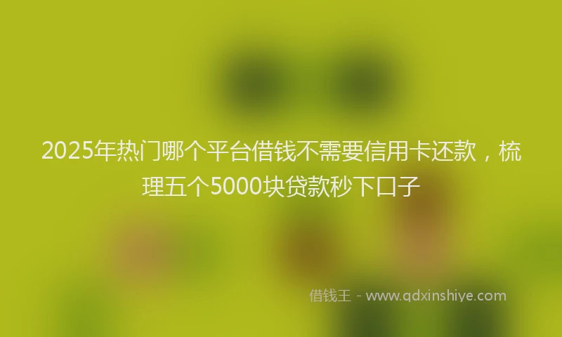 2025年热门哪个平台借钱不需要信用卡还款，梳理五个5000块贷款秒下口子