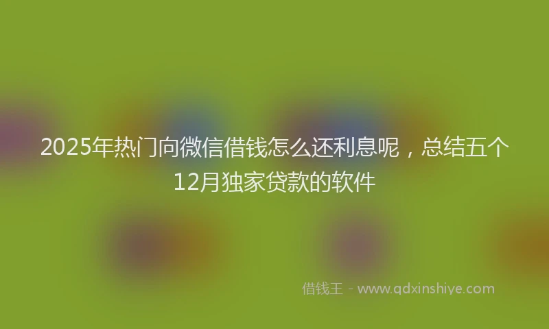 2025年热门向微信借钱怎么还利息呢，总结五个12月独家贷款的软件