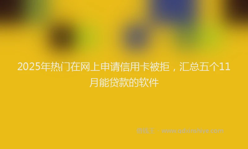 2025年热门在网上申请信用卡被拒，汇总五个11月能贷款的软件