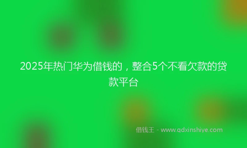 2025年热门华为借钱的，整合5个不看欠款的贷款平台