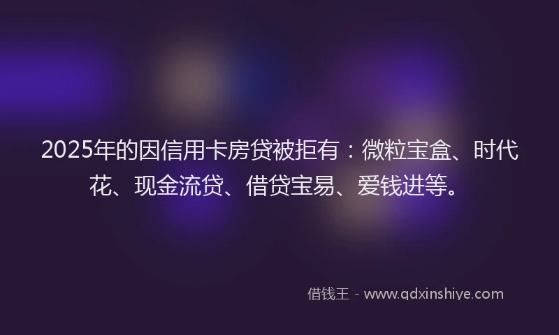2025年的因信用卡房贷被拒有：微粒宝盒、时代花、现金流贷、借贷宝易、爱钱进等。