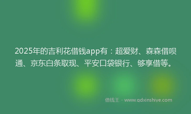 2025年的吉利花借钱app有：超爱财、森森借呗通、京东白条取现、平安口袋银行、够享借等。