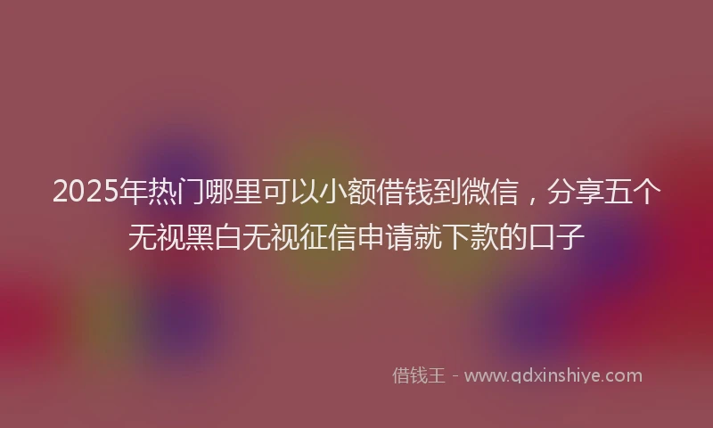 2025年热门哪里可以小额借钱到微信，分享五个无视黑白无视征信申请就下款的口子