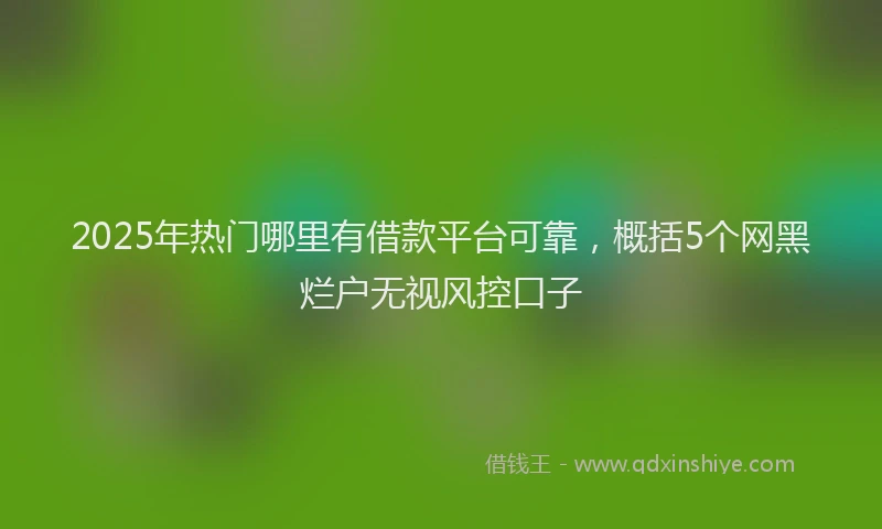 2025年热门哪里有借款平台可靠，概括5个网黑烂户无视风控口子