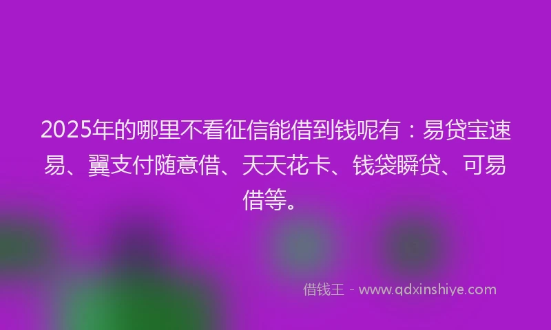 2025年的哪里不看征信能借到钱呢有：易贷宝速易、翼支付随意借、天天花卡、钱袋瞬贷、可易借等。