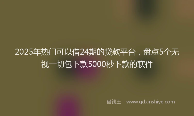 2025年热门可以借24期的贷款平台，盘点5个无视一切包下款5000秒下款的软件
