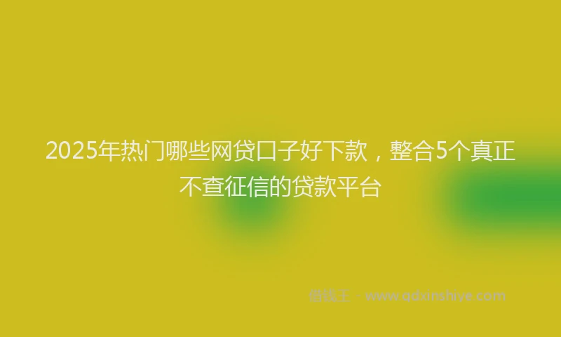 2025年热门哪些网贷口子好下款，整合5个真正不查征信的贷款平台