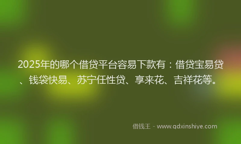 2025年的哪个借贷平台容易下款有：借贷宝易贷、钱袋快易、苏宁任性贷、享来花、吉祥花等。