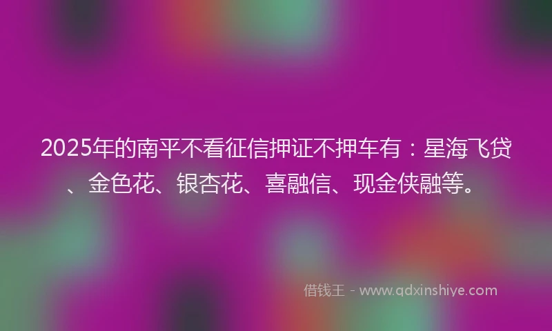 2025年的南平不看征信押证不押车有：星海飞贷、金色花、银杏花、喜融信、现金侠融等。