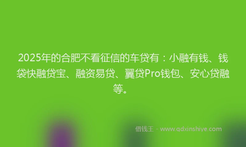 2025年的合肥不看征信的车贷有：小融有钱、钱袋快融贷宝、融资易贷、翼贷Pro钱包、安心贷融等。