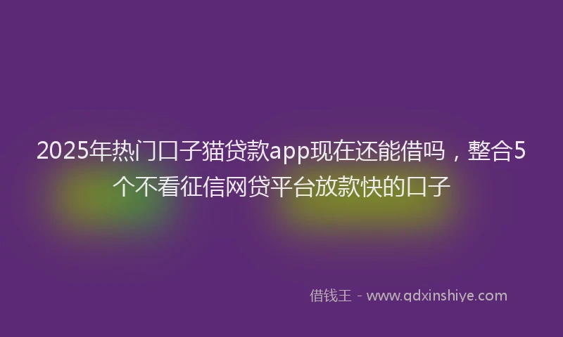 2025年热门口子猫贷款app现在还能借吗，整合5个不看征信网贷平台放款快的口子