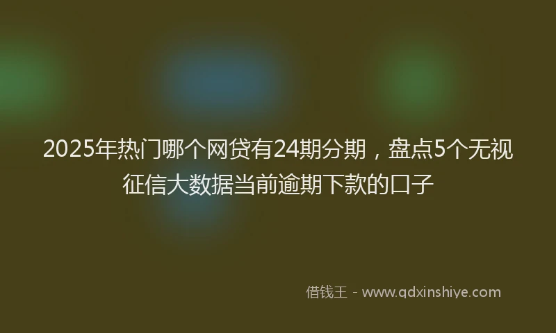 2025年热门哪个网贷有24期分期，盘点5个无视征信大数据当前逾期下款的口子