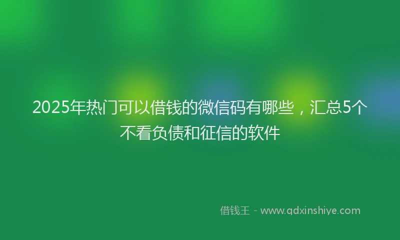 2025年热门可以借钱的微信码有哪些，汇总5个不看负债和征信的软件