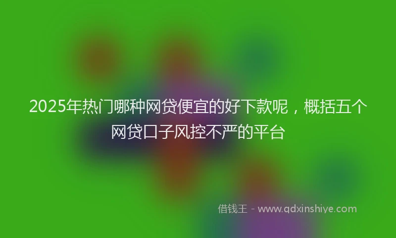 2025年热门哪种网贷便宜的好下款呢，概括五个网贷口子风控不严的平台