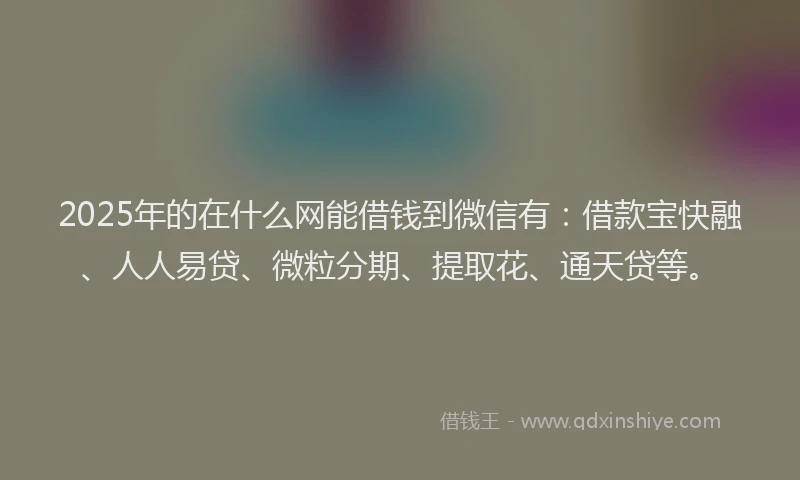 2025年的在什么网能借钱到微信有：借款宝快融、人人易贷、微粒分期、提取花、通天贷等。