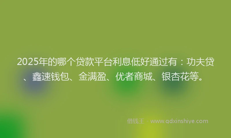 2025年的哪个贷款平台利息低好通过有：功夫贷、鑫速钱包、金满盈、优者商城、银杏花等。