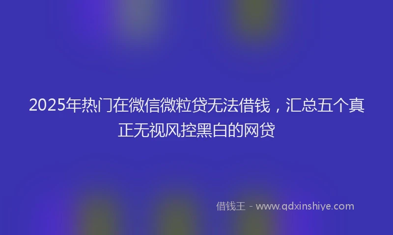 2025年热门在微信微粒贷无法借钱，汇总五个真正无视风控黑白的网贷