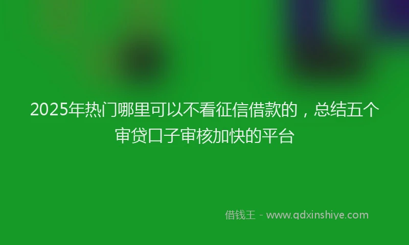 2025年热门哪里可以不看征信借款的，总结五个审贷口子审核加快的平台