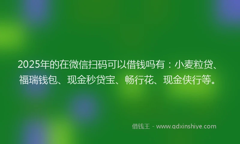 2025年的在微信扫码可以借钱吗有：小麦粒贷、福瑞钱包、现金秒贷宝、畅行花、现金侠行等。