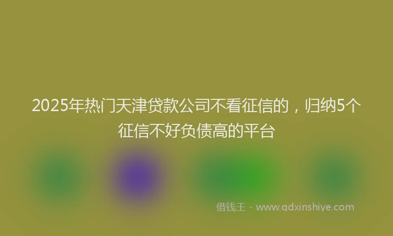 2025年热门天津贷款公司不看征信的，归纳5个征信不好负债高的平台