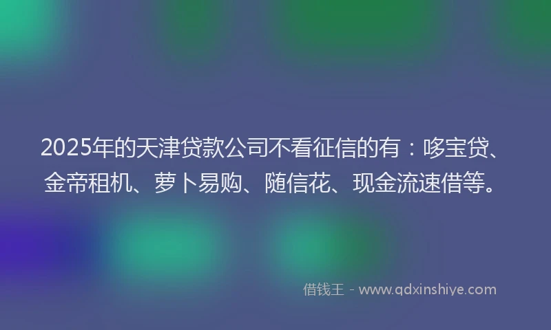 2025年的天津贷款公司不看征信的有：哆宝贷、金帝租机、萝卜易购、随信花、现金流速借等。