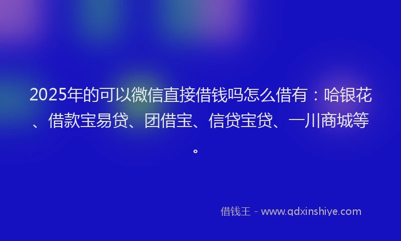 2025年的可以微信直接借钱吗怎么借有：哈银花、借款宝易贷、团借宝、信贷宝贷、一川商城等。