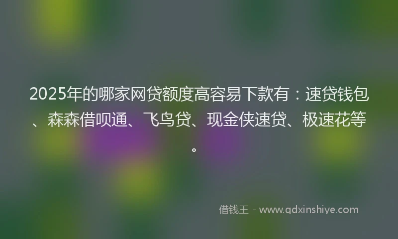 2025年的哪家网贷额度高容易下款有：速贷钱包、森森借呗通、飞鸟贷、现金侠速贷、极速花等。