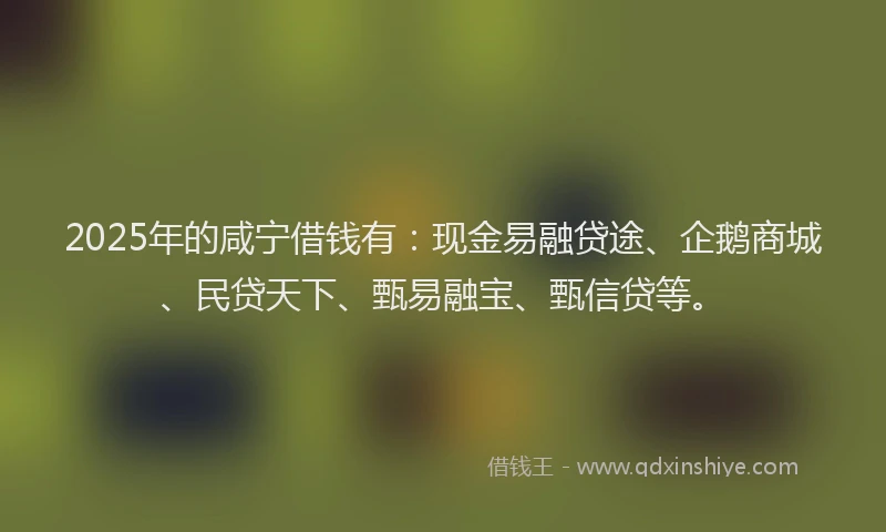 2025年的咸宁借钱有：现金易融贷途、企鹅商城、民贷天下、甄易融宝、甄信贷等。